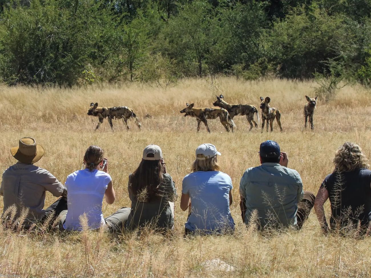 10-Day Exploring Victoria Falls, Hwange & Chobe National Park Safari