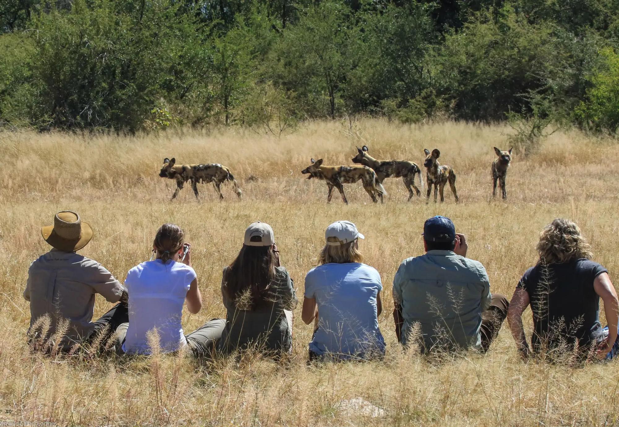 10-Day Exploring Victoria Falls, Hwange & Chobe National Park Safari