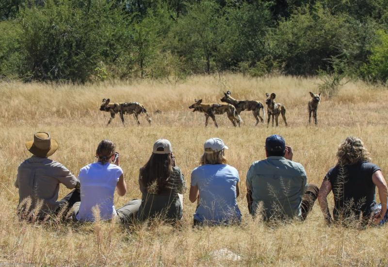 10-Day Exploring Victoria Falls, Hwange & Chobe National Park Safari
