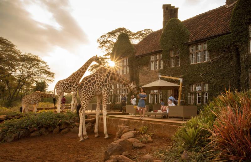 12-Day Bush to Beach Luxury Safari through Kenya