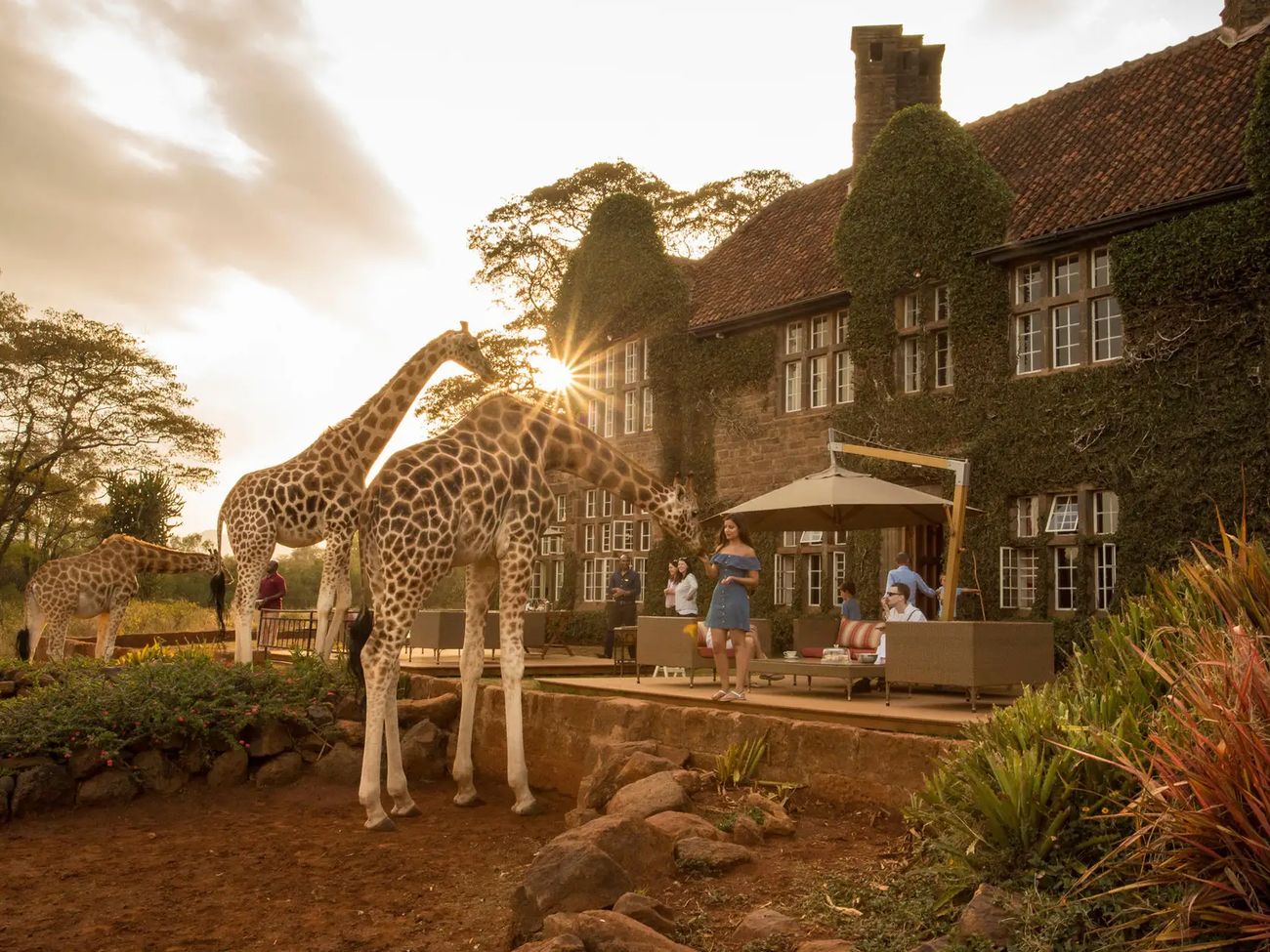 12-Day Bush to Beach Luxury Safari through Kenya