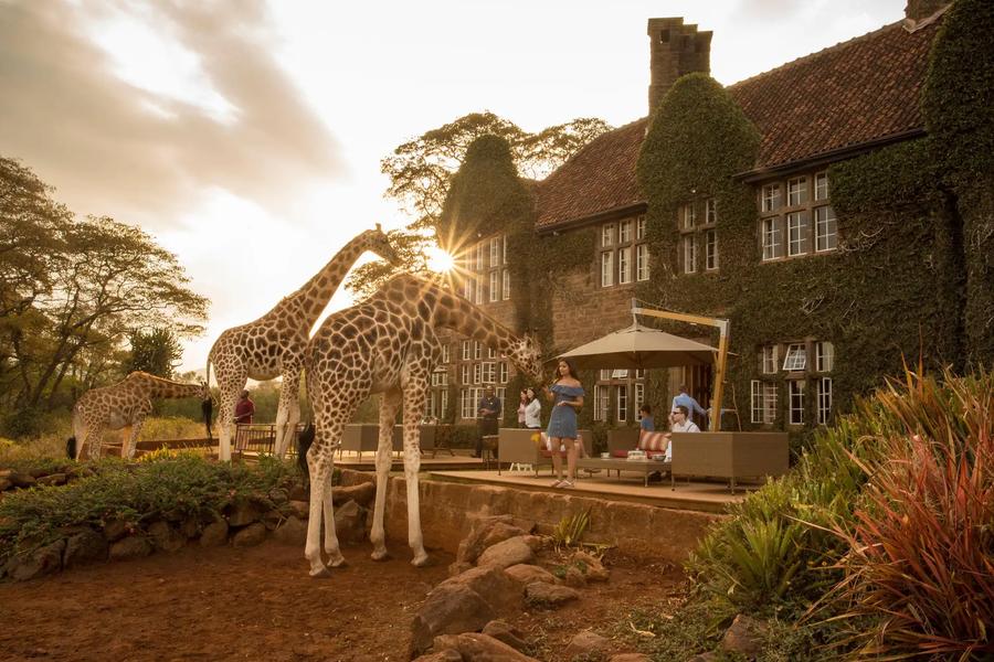 12-Day Bush to Beach Luxury Safari through Kenya