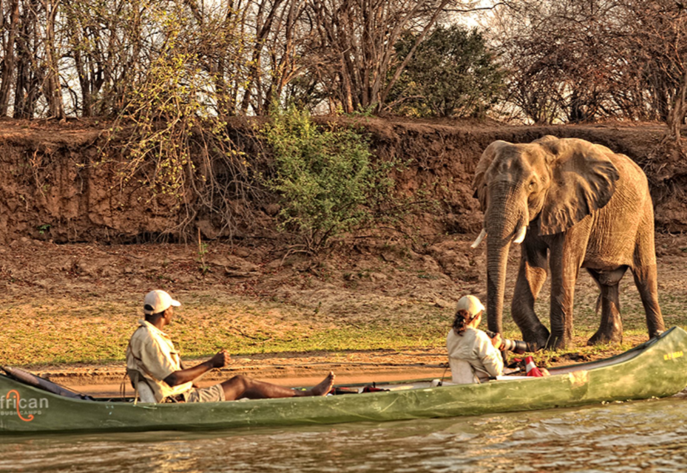 Top Experiences along the Zambezi River
