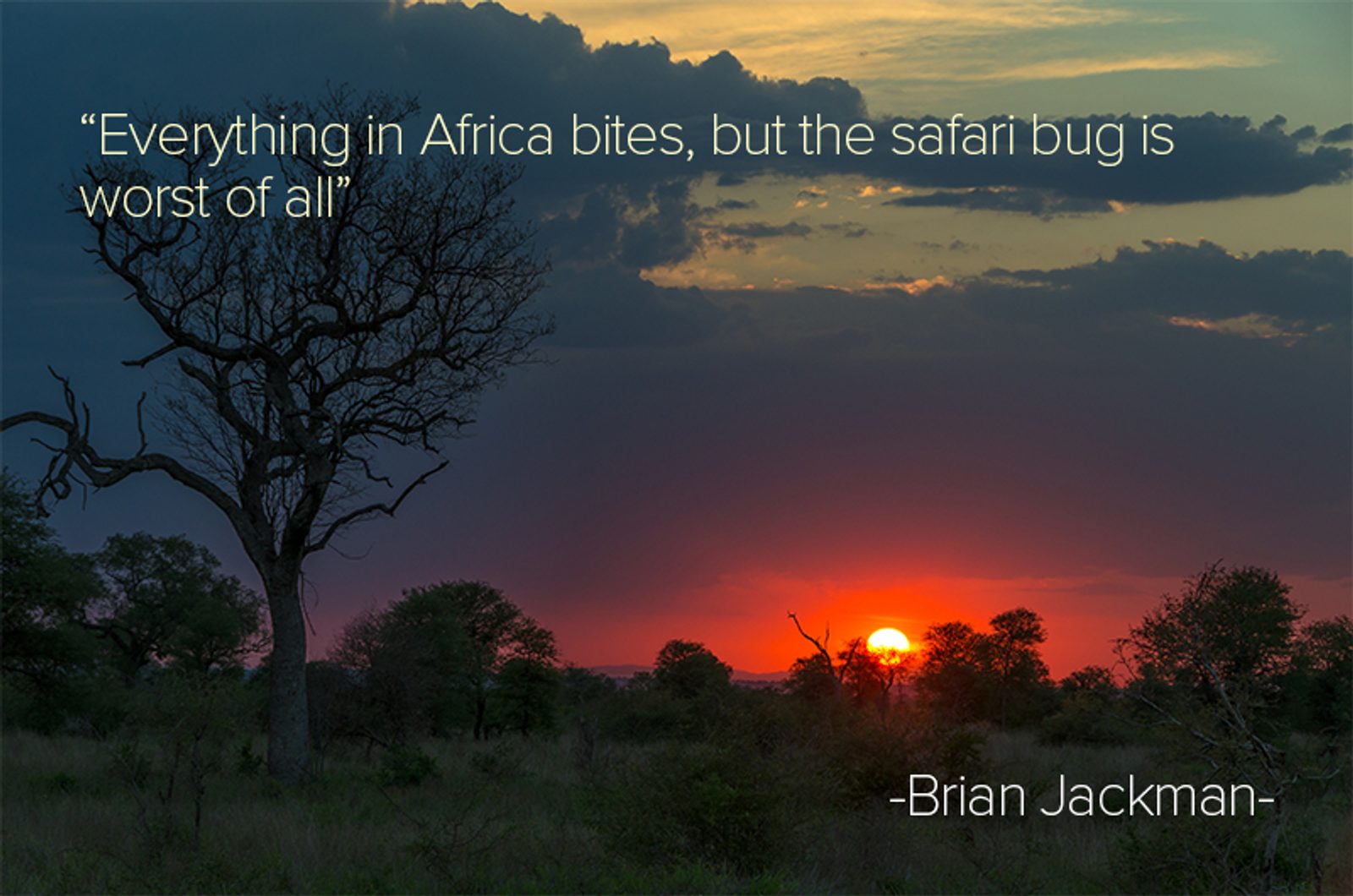 Inspirational Quotes to Travel