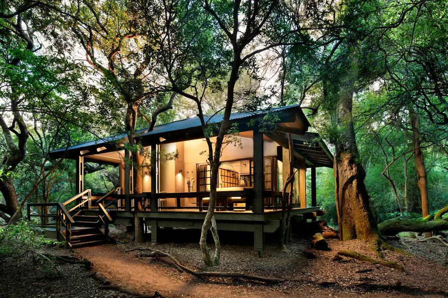 7-Day Luxury Bush and Beach Safari in KwaZulu-Natal