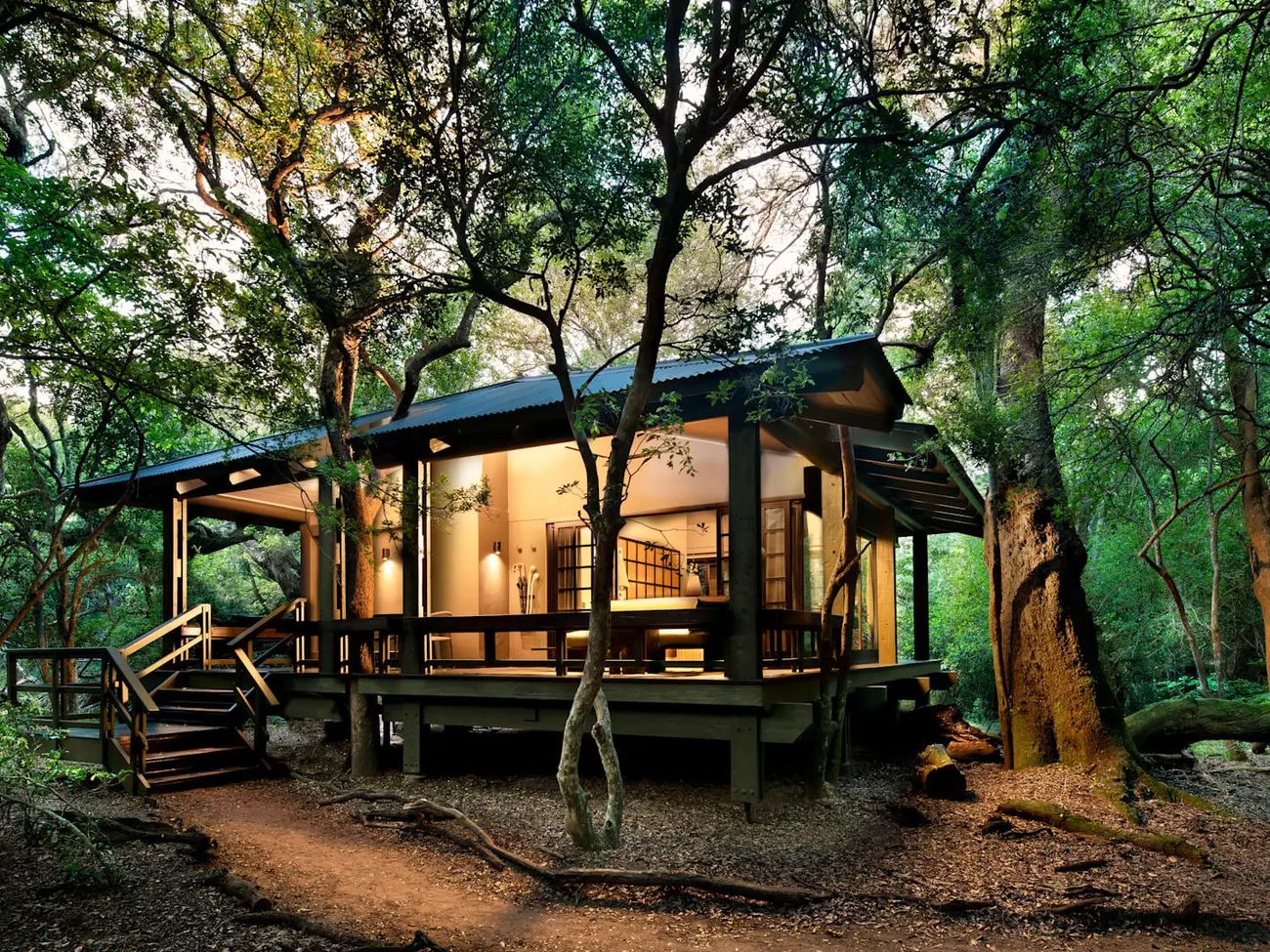7-Day Luxury Bush and Beach Safari in KwaZulu-Natal