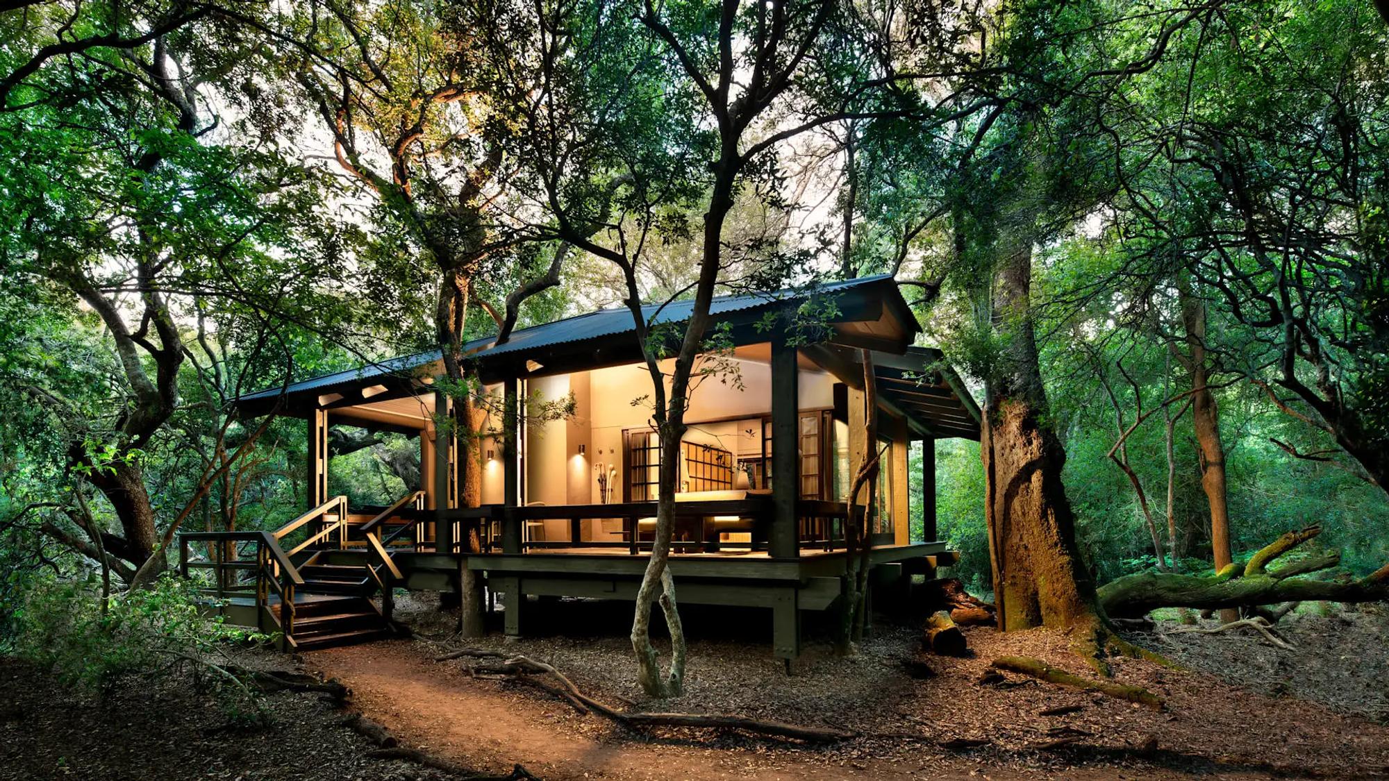 7-Day Luxury Bush and Beach Safari in KwaZulu-Natal