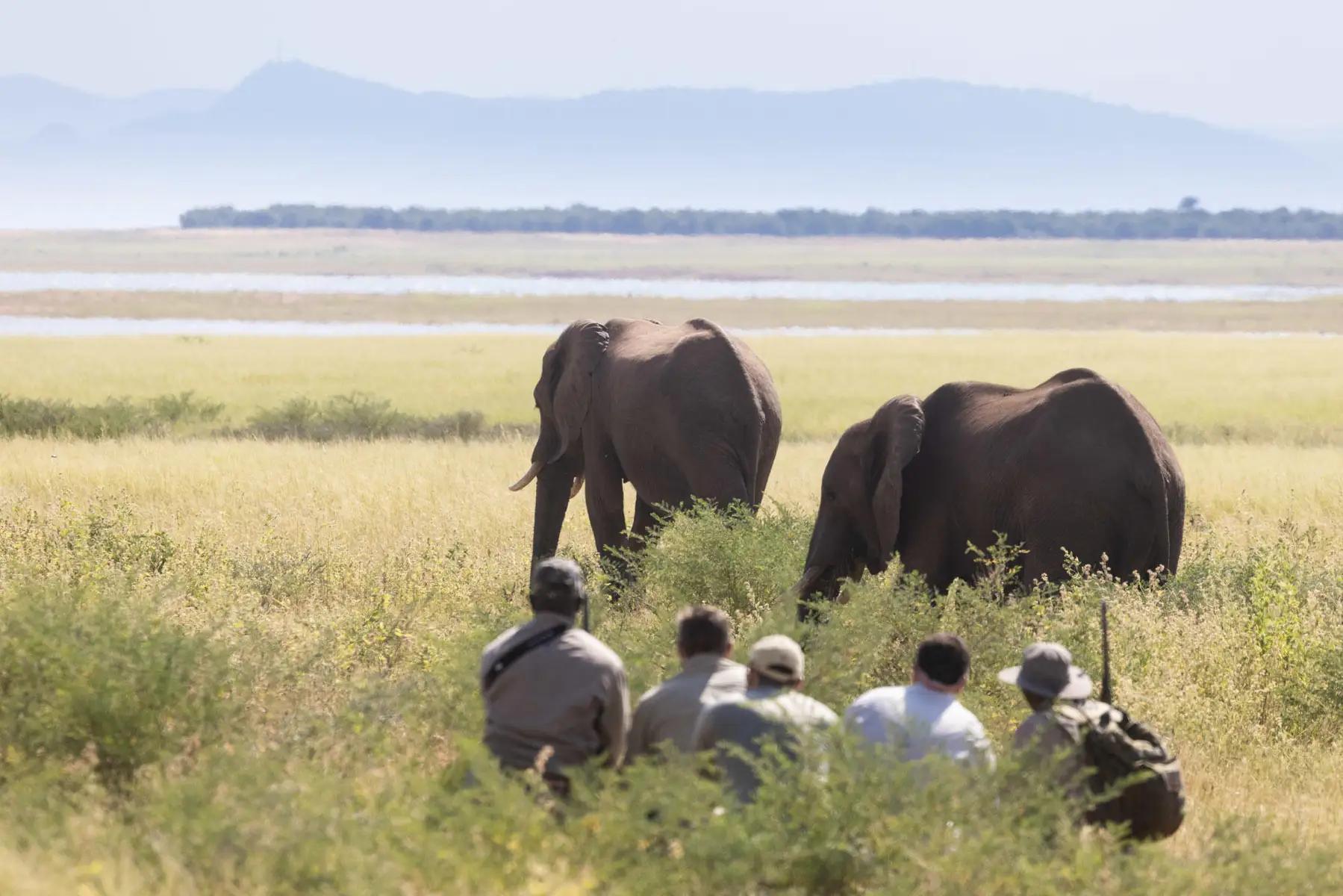 Fothergill - Lake Kariba