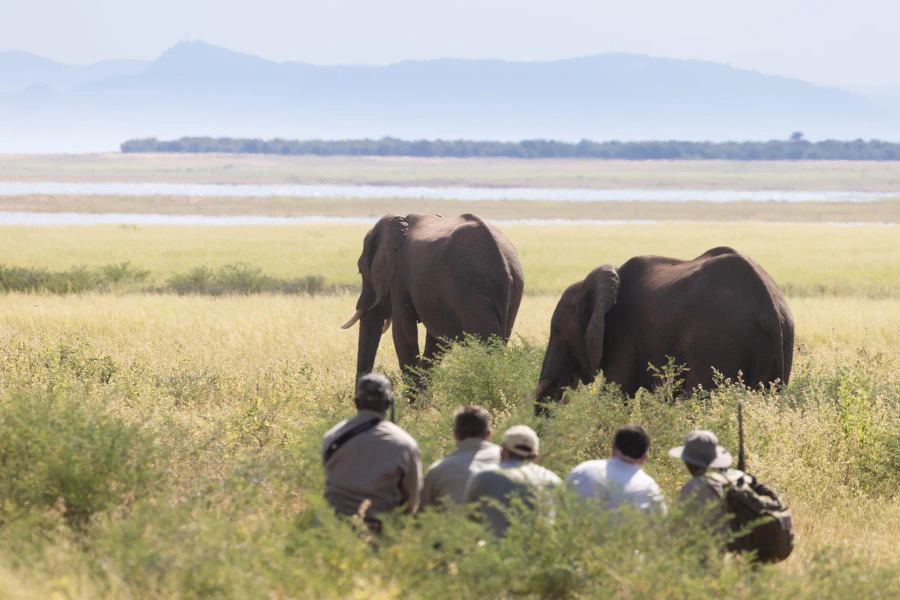 Fothergill - Lake Kariba