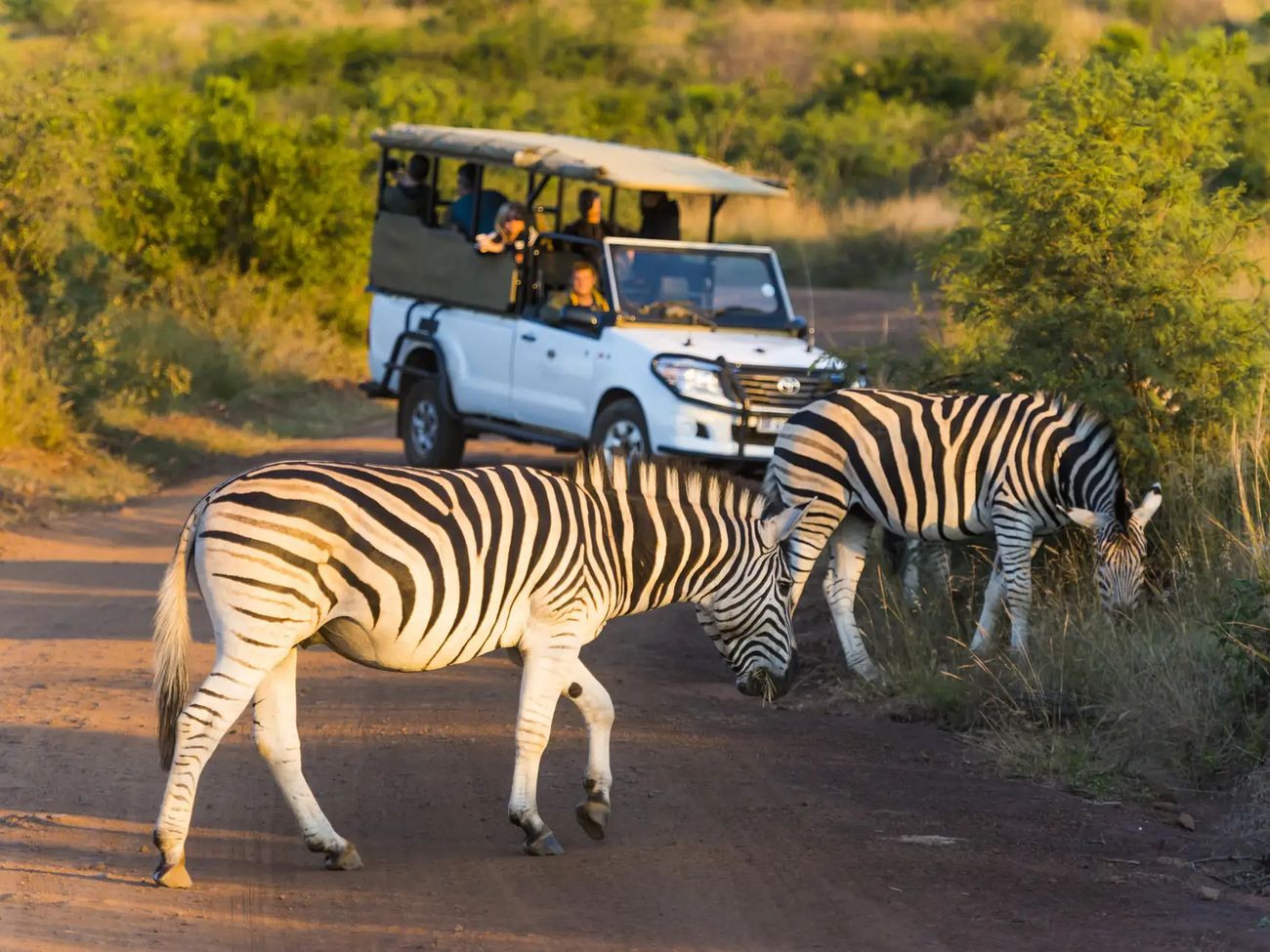 4-Day BIG 5 Pilansberg Adventure Safari