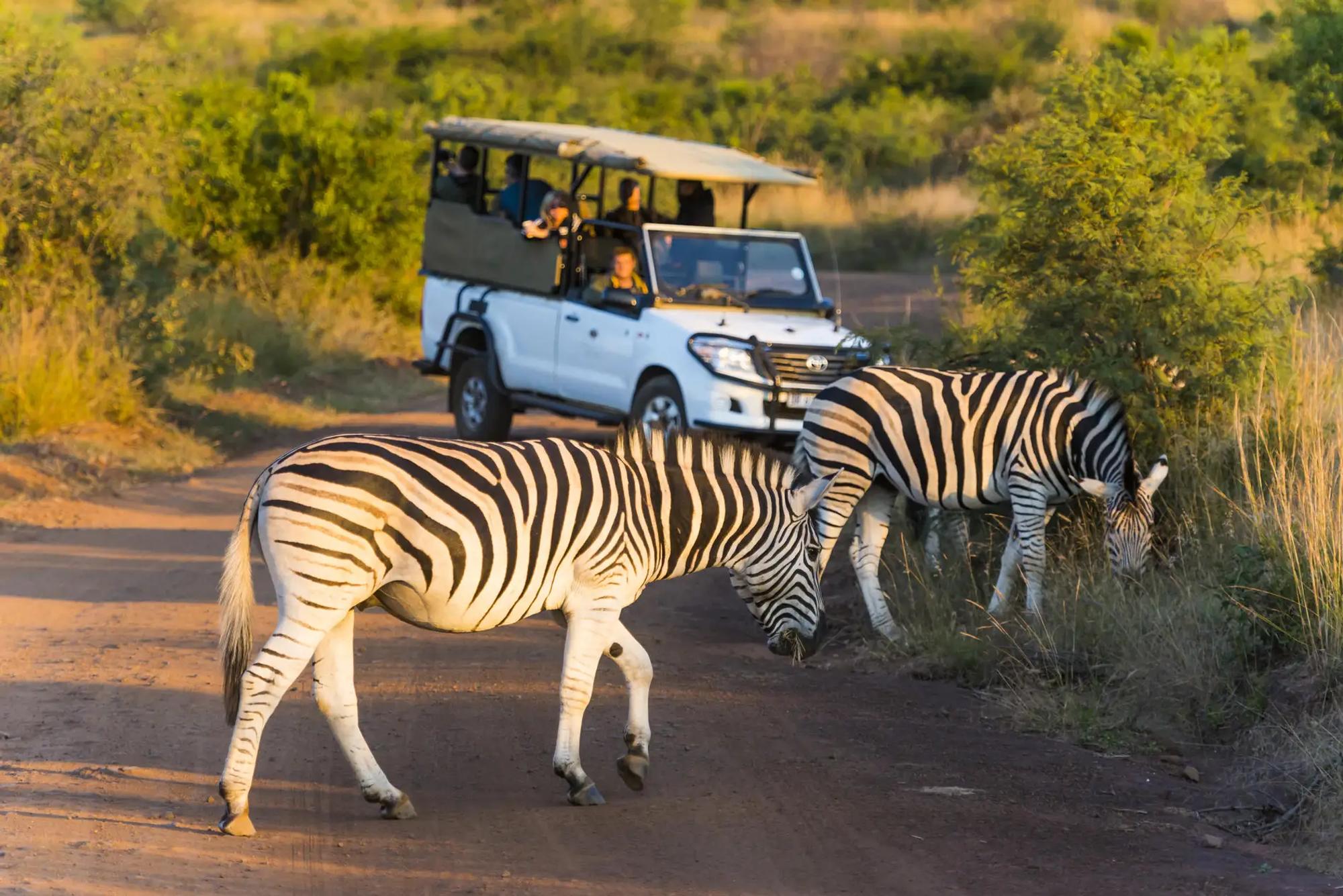 4-Day BIG 5 Pilansberg Adventure Safari