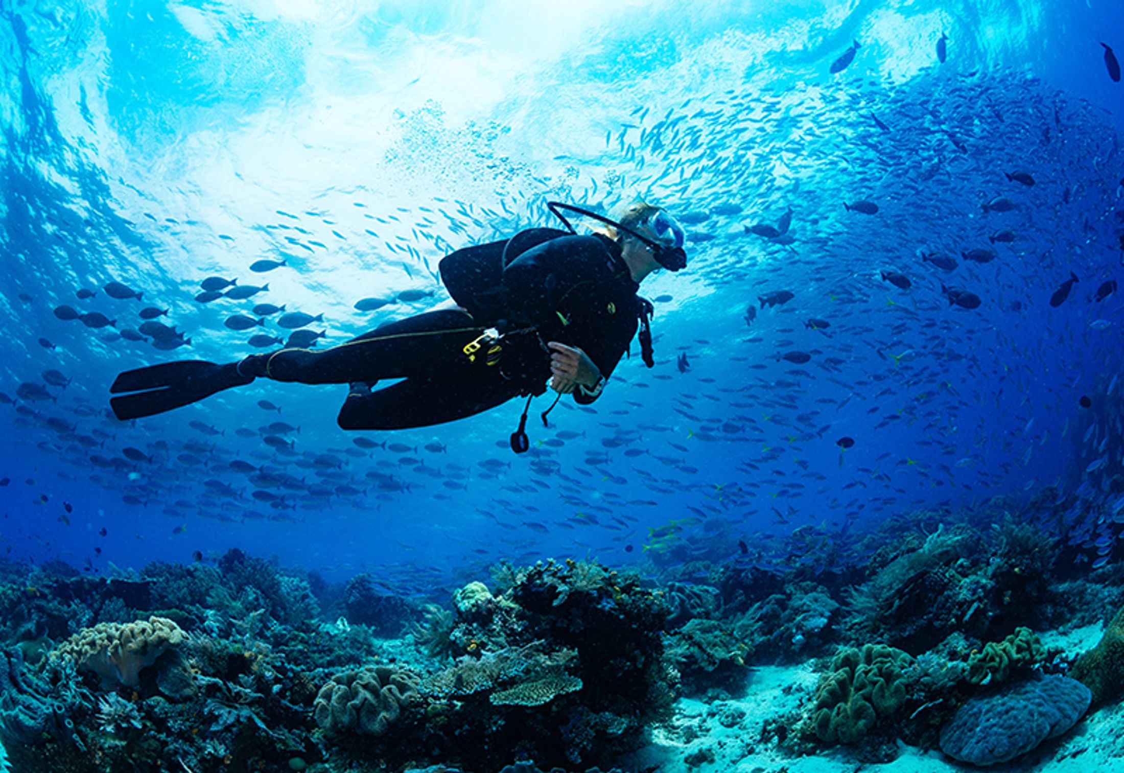 2019’s Top 10 Travel Trends