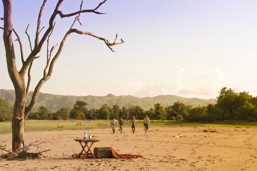 Changa Safari Camp