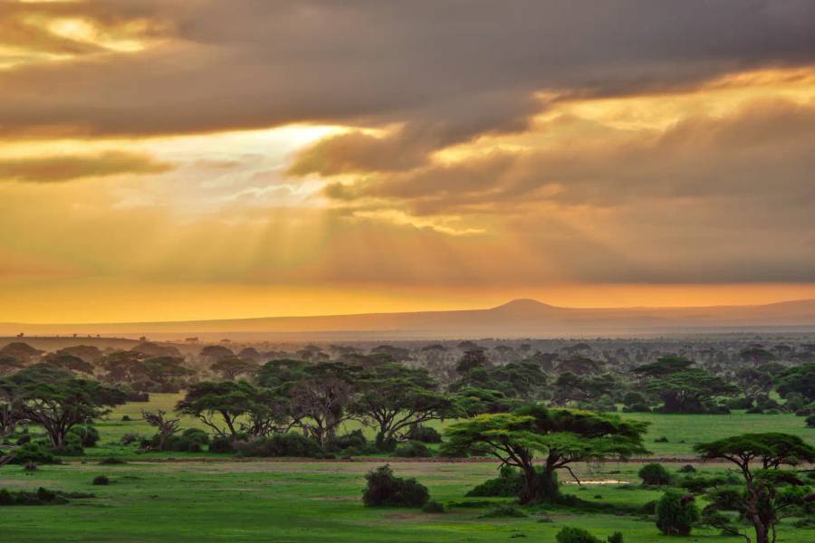 Amboseli National Park
