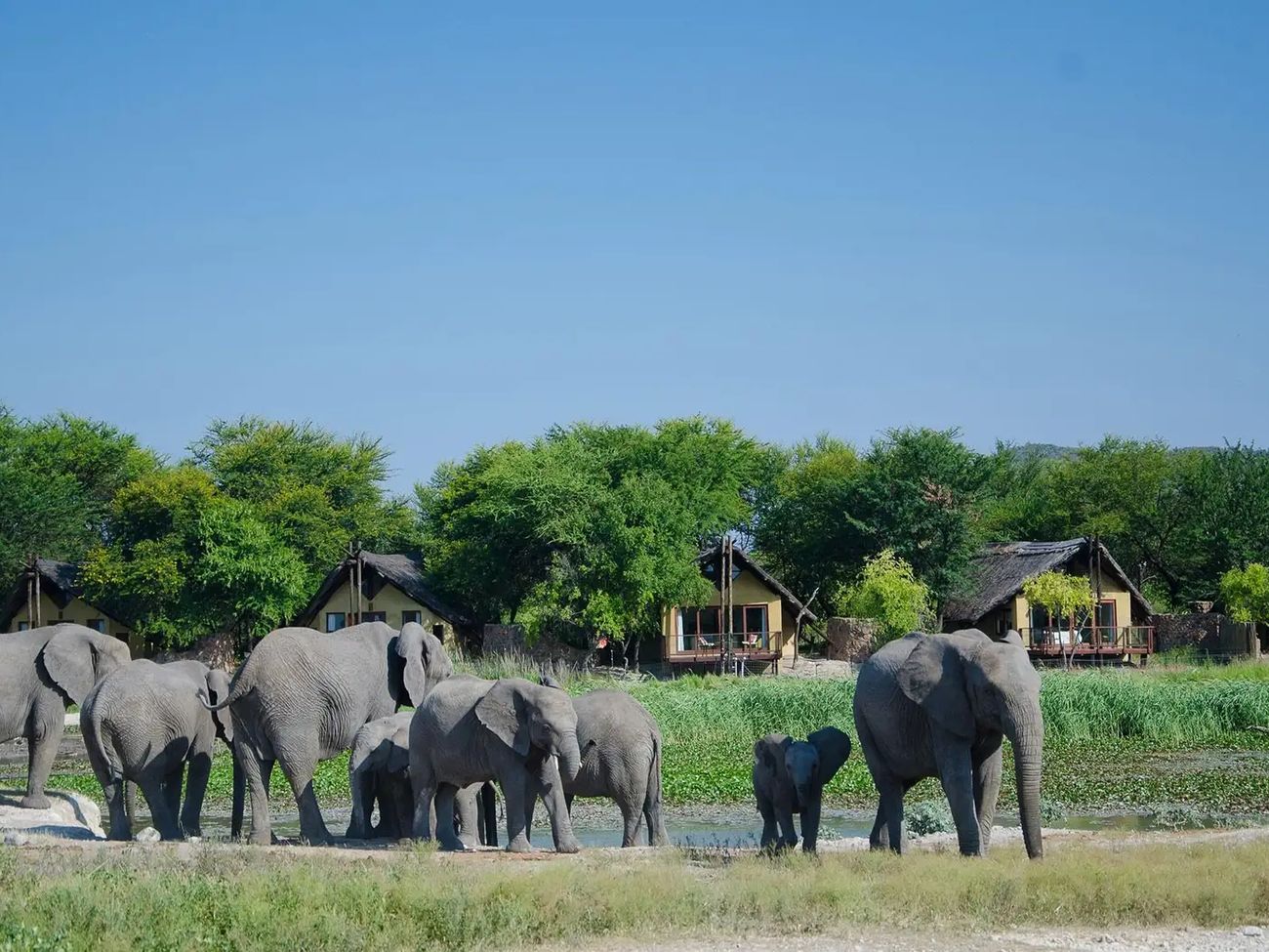 Tau Game Lodge