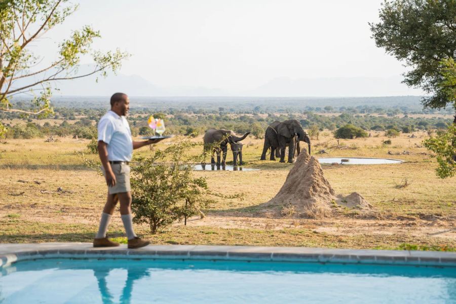 6-Day Bush & Beach Safari