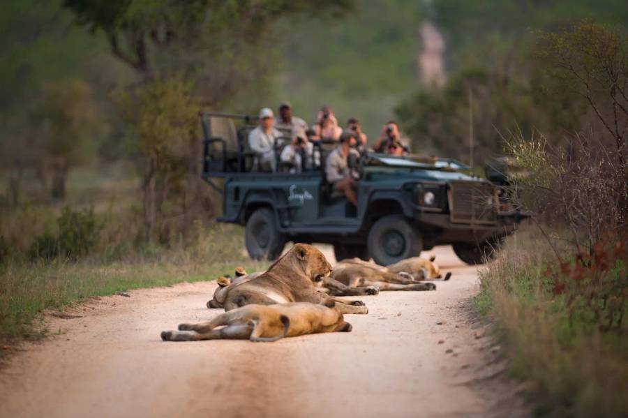 Kruger National Park