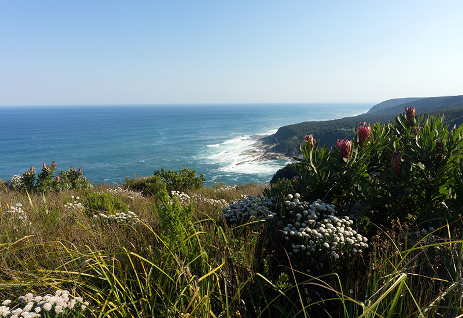 ocean views tsitsikamma