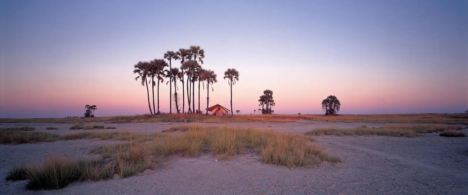 Nxai Pan Camp