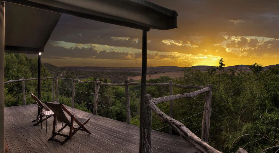 5-Day Malaria Free Big-5 Amakhala HillsNek Safari