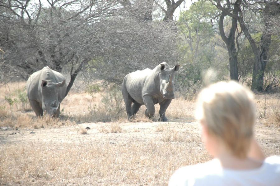 5 Day Kruger Walking Safari Trail