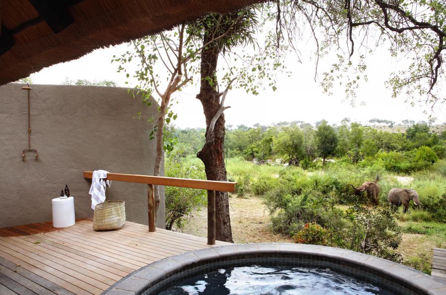4-Day Londolozi Varty Camp Fly-In Safari