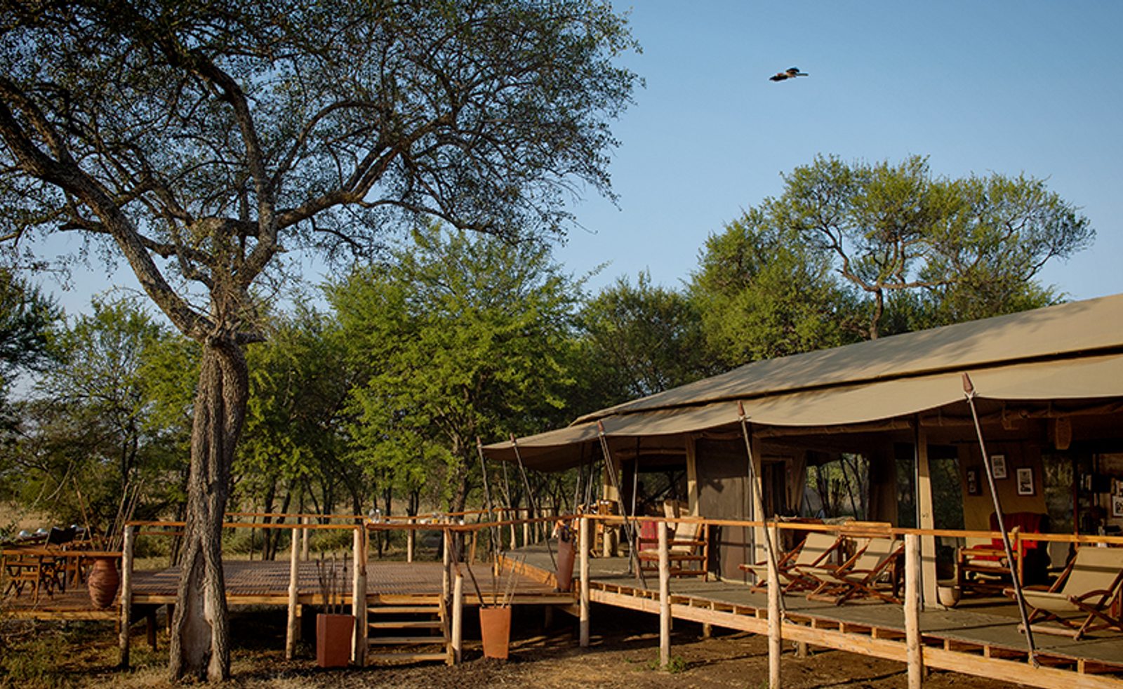 Wildlife viewing from Dunia Camp's deck on a family friendly safari