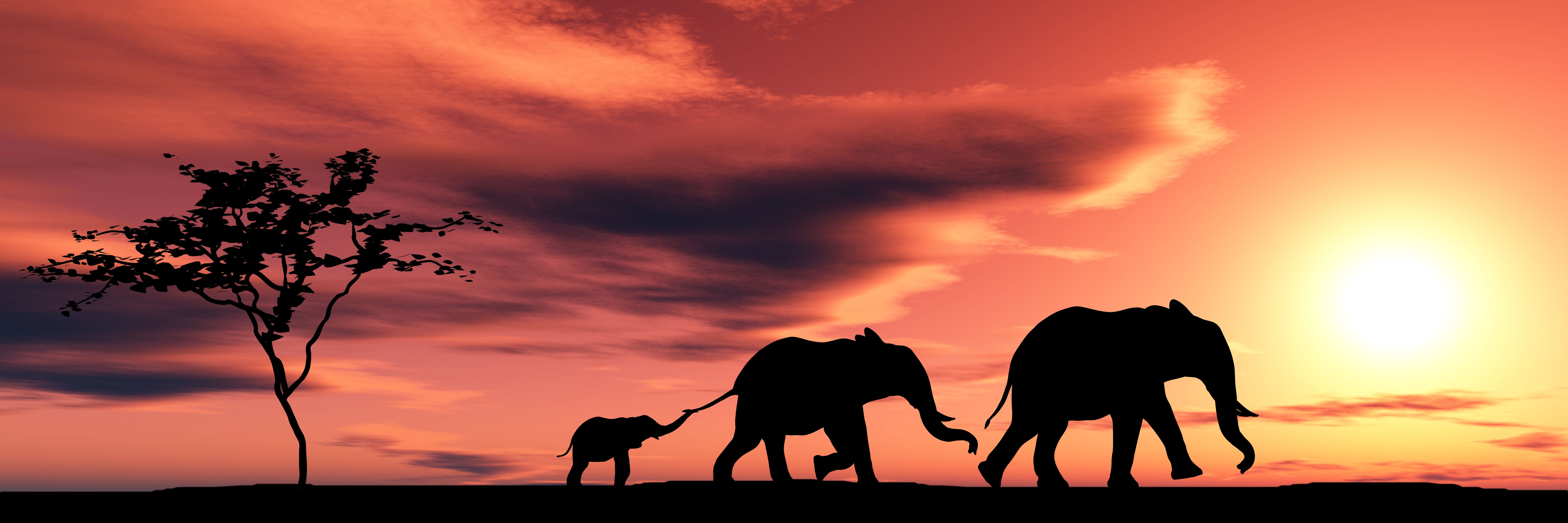 The Definitive Guide to Child Policies in the Kruger Park and Sabi Sands
