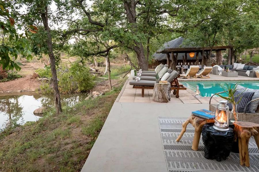 Chacma Bush Camp