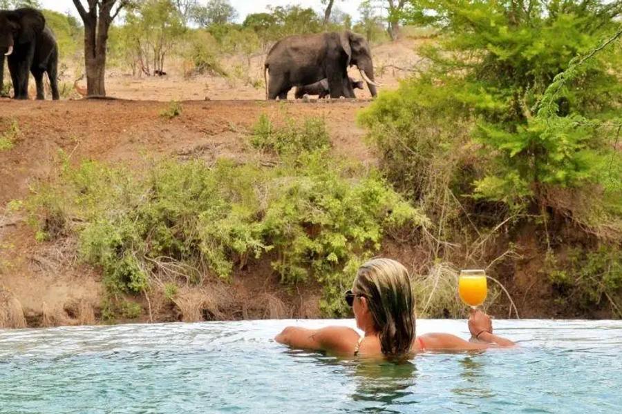 4 Day All Inclusive Fly-in Tour to Kruger's Imbali Lodge