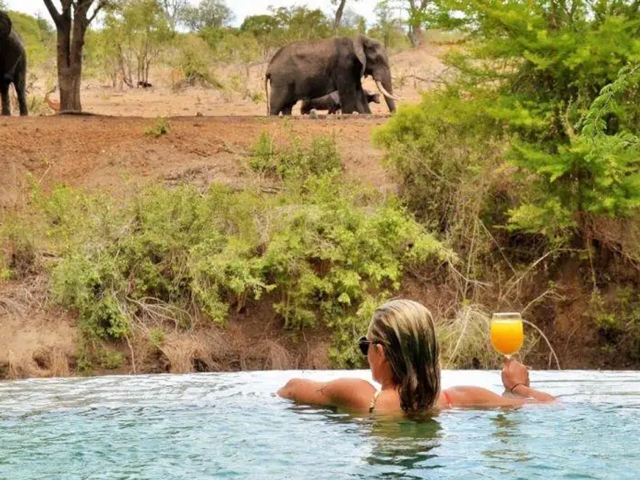 4 Day All Inclusive Fly-in Tour to Kruger's Imbali Lodge