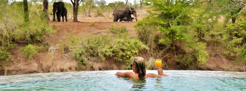 4 Day All Inclusive Fly-in Tour to Kruger's Imbali Lodge