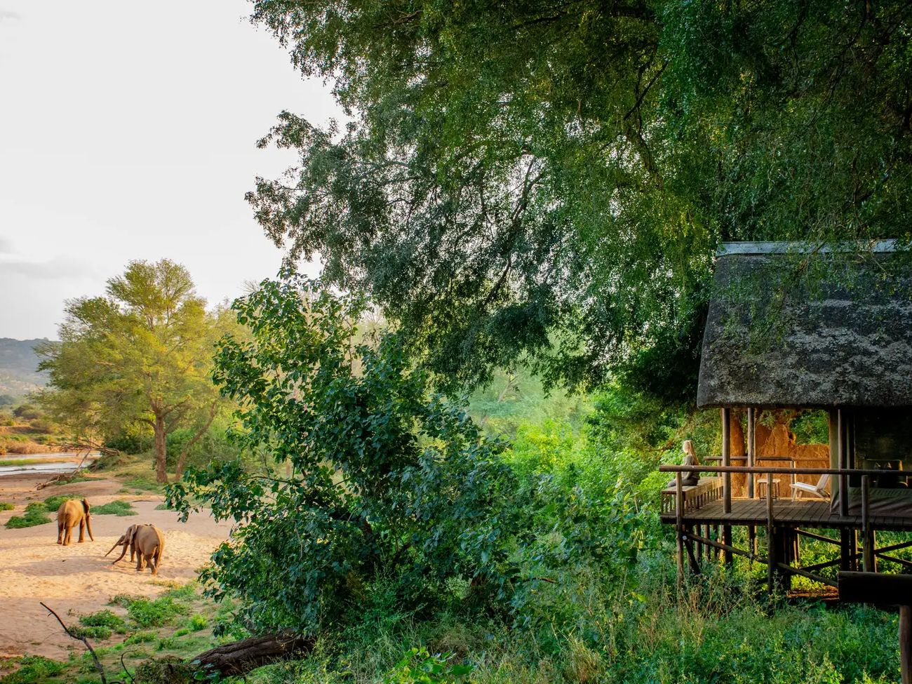 Pafuri Tented Camp