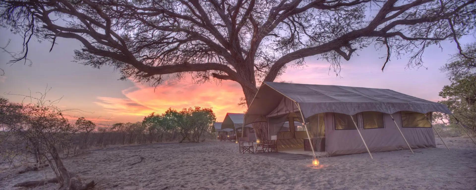 5-Day Bespoke Luxury Chobe Safari