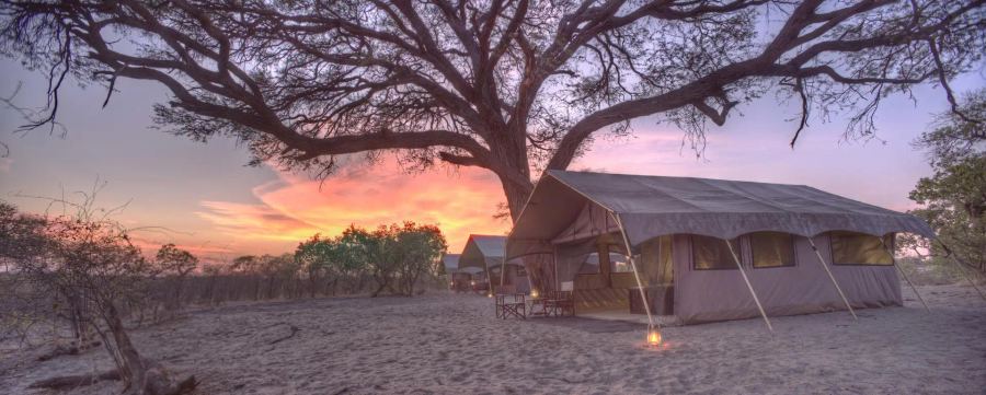 5-Day Bespoke Luxury Chobe Safari