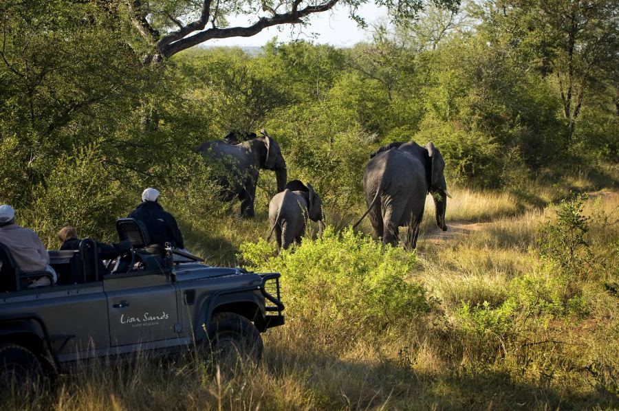 4-Day All-Inclusive Lion Sands Tinga Lodge Safari