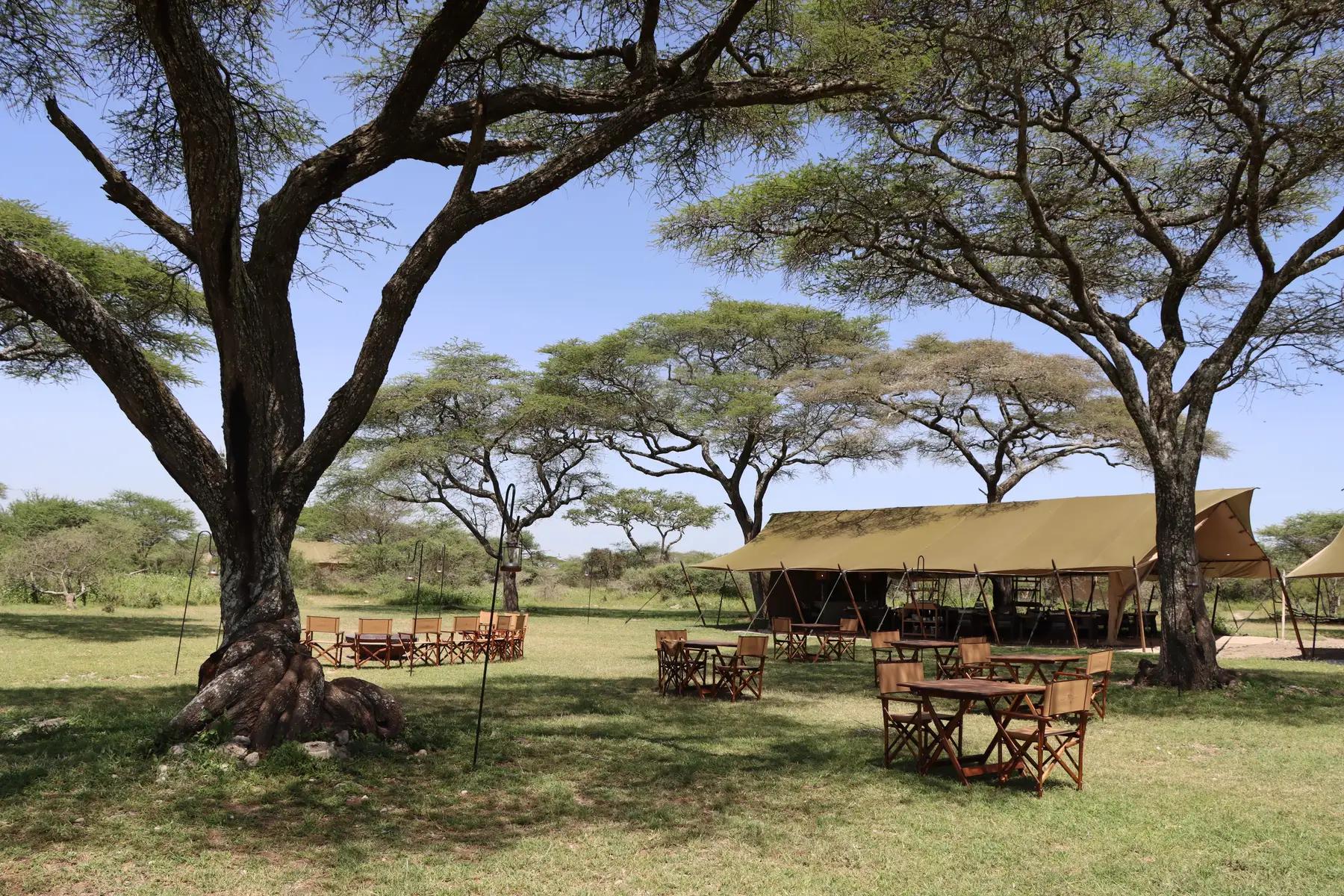 LABA Migration Camp