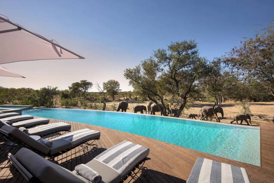 AndBeyond Ngala Safari Lodge