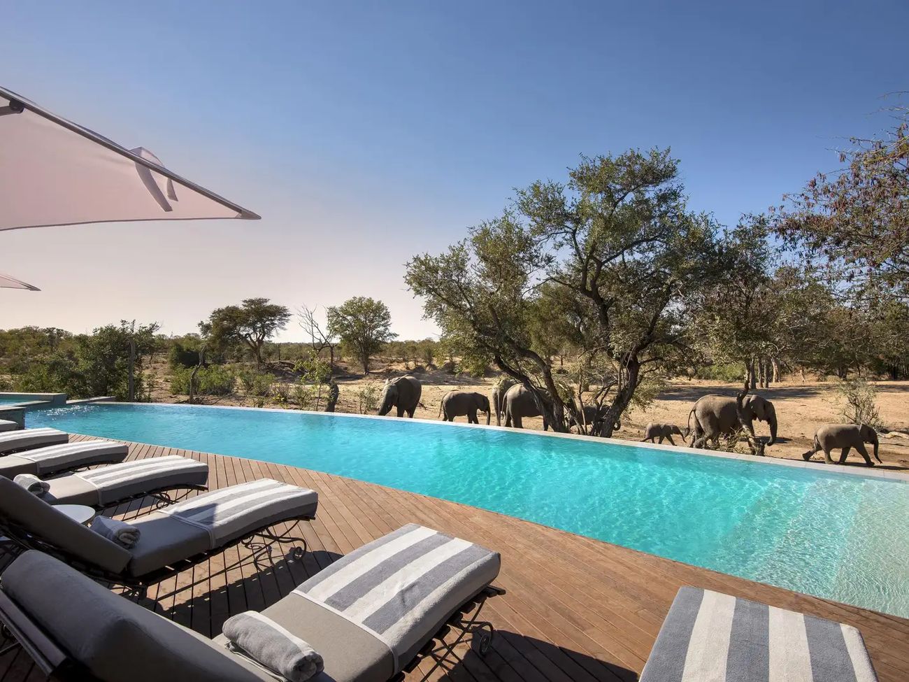 AndBeyond Ngala Safari Lodge