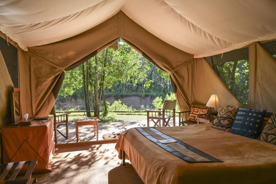 7-Day All-Inclusive Masai Mara to Zanzibar Safari