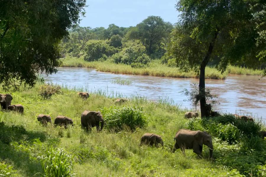 4 Day Kruger Exclusive Getaway with Lion Sands Narina