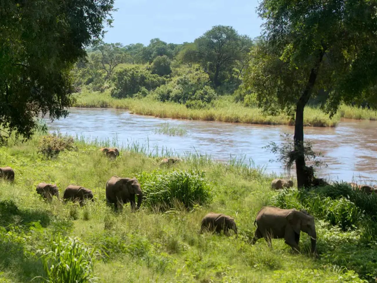 4 Day Kruger Exclusive Getaway with Lion Sands Narina