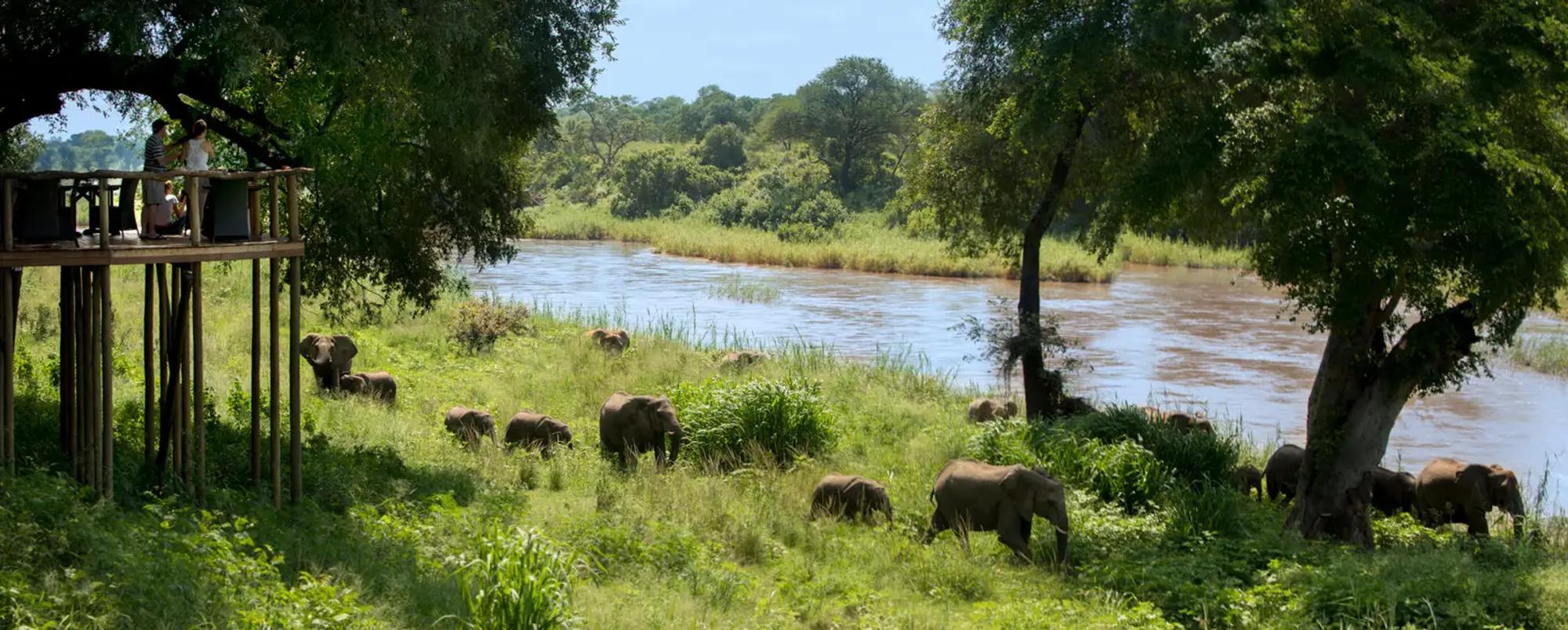 4 Day Kruger Exclusive Getaway with Lion Sands Narina