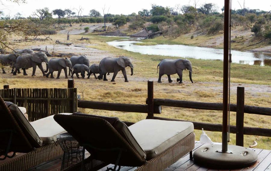 11 Day Botswana Luxury Safari