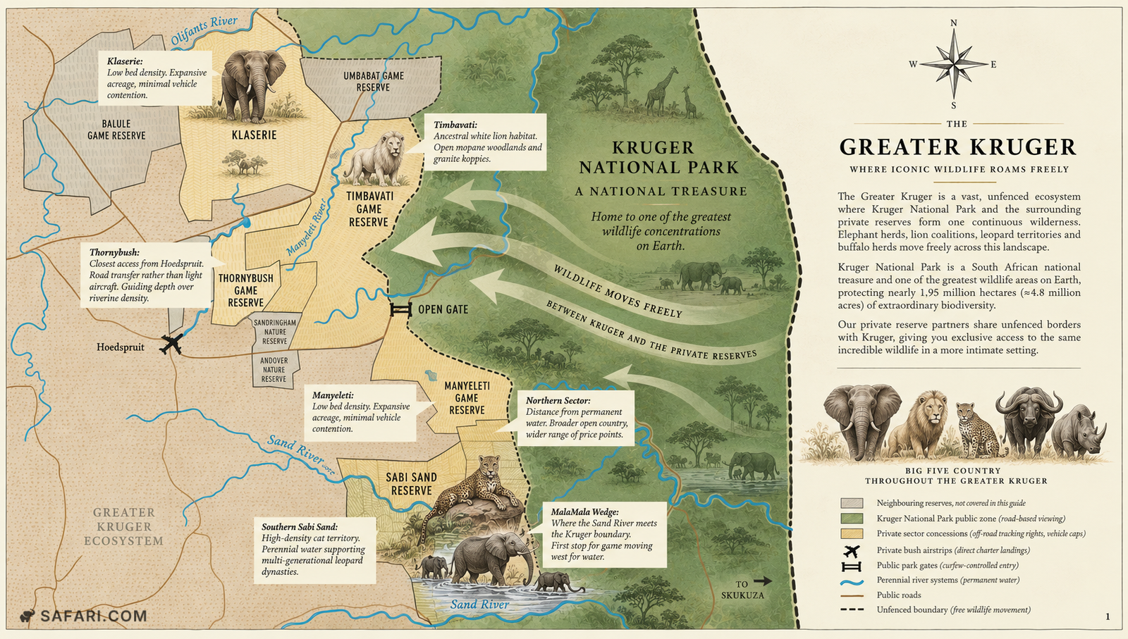 Illustrated map of the Greater Kruger showing Kruger National Park and the private reserves of Klaserie, Timbavati, Thornybush, Manyeleti and the Sabi Sand along its unfenced western boundary, with arrows marking wildlife movement out of the park