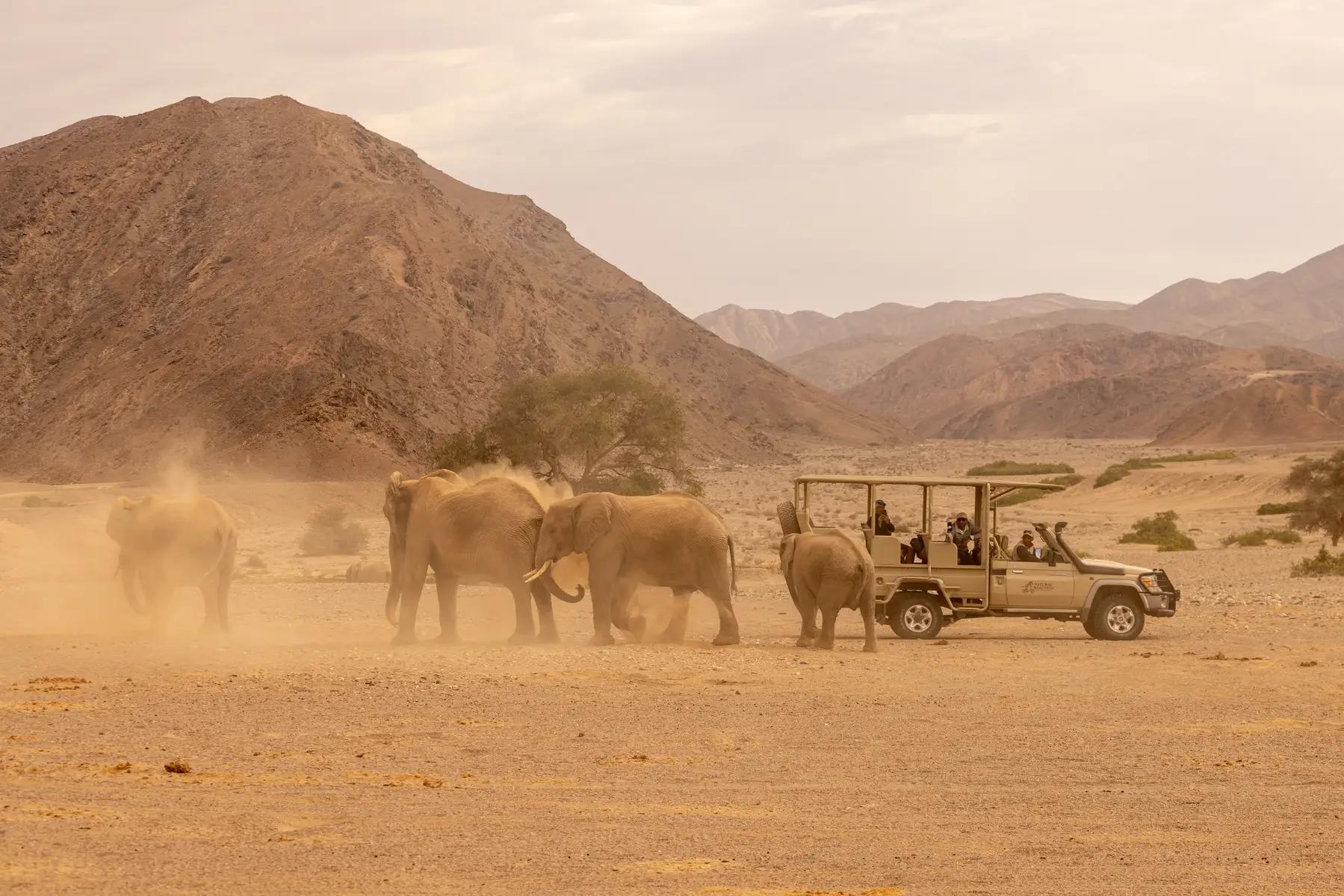 Hoanib Valley Camp