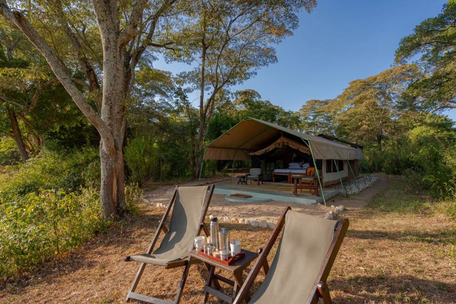 Kitich Forest Camp