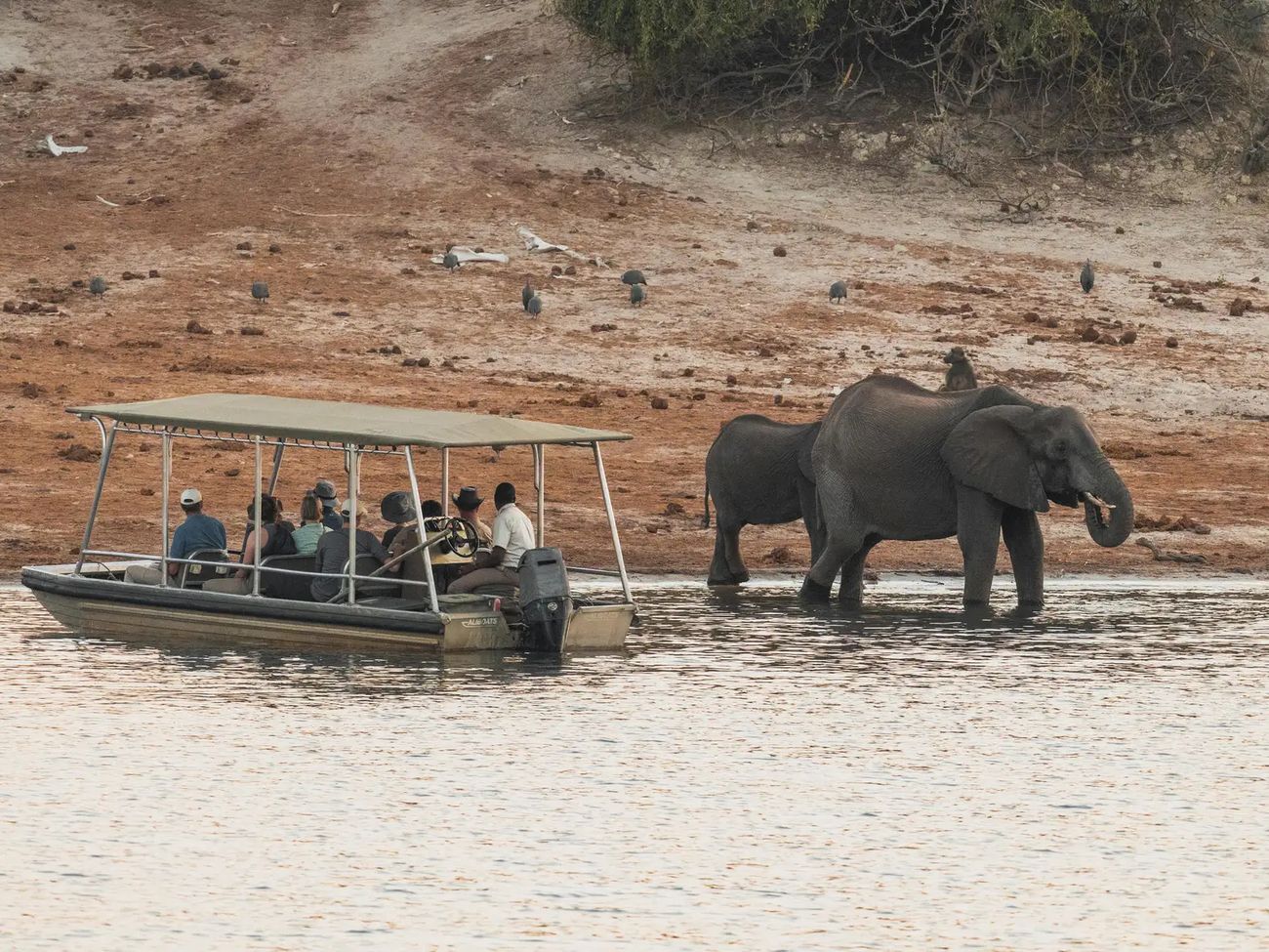 Chobe Princess