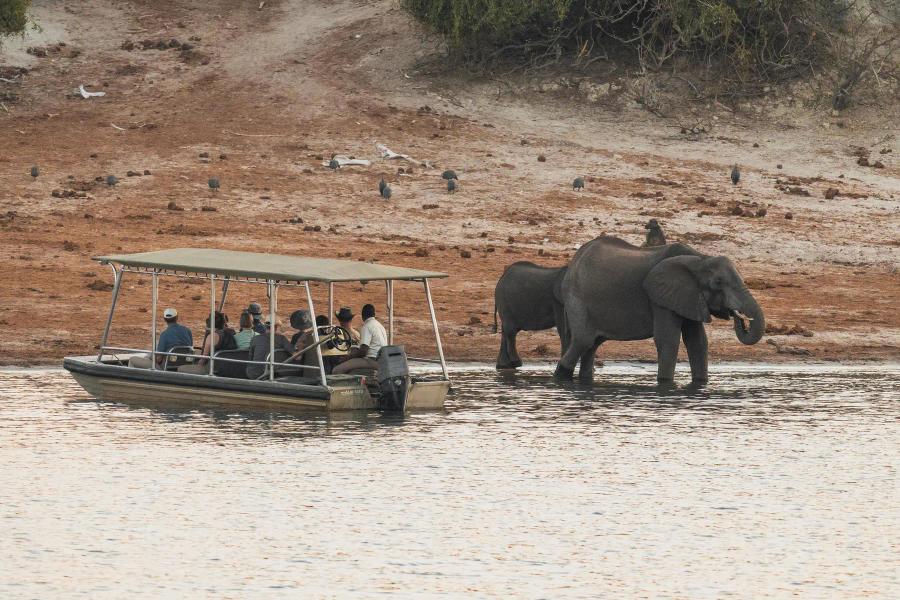 Chobe Princess