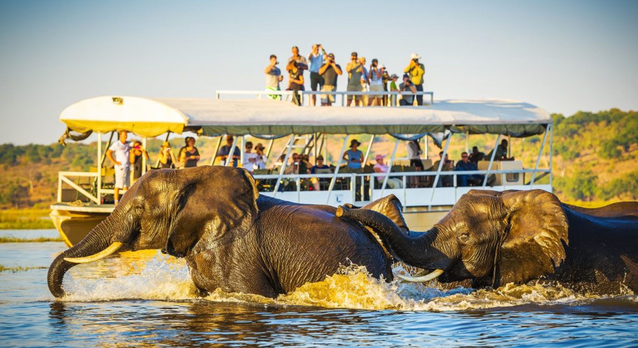 How to Pick the Perfect African Safari